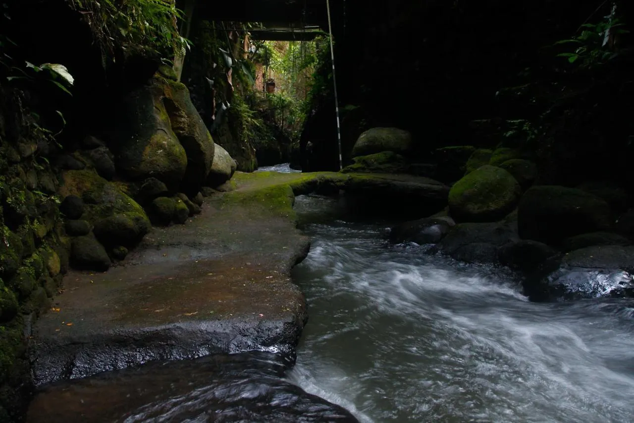Pondok Legon House Ubud 0*,  Indonezja